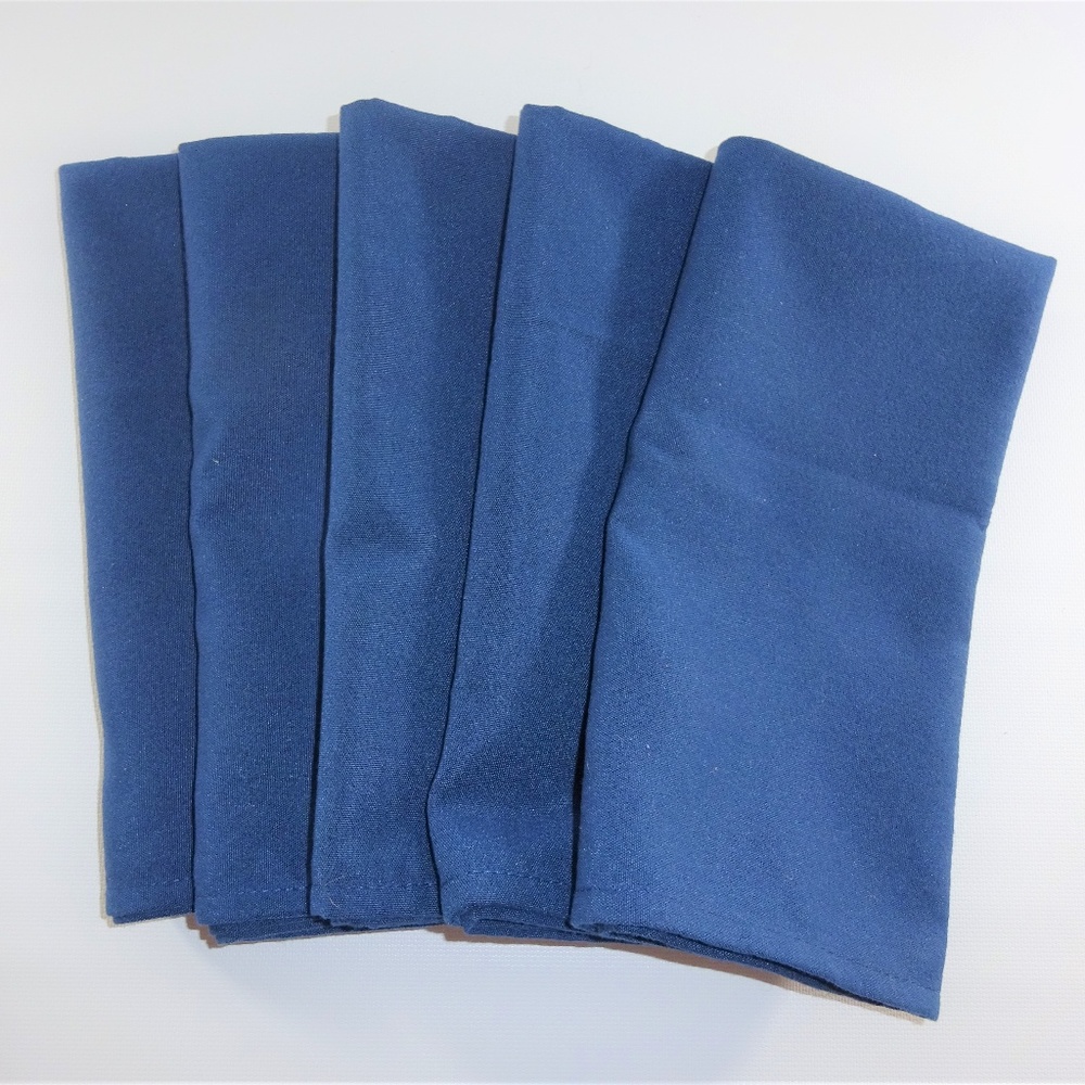Cloth Dinner Napkins Blue Set of 5